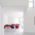 Catifa 46 0251 Chair Bicolored Frame White
